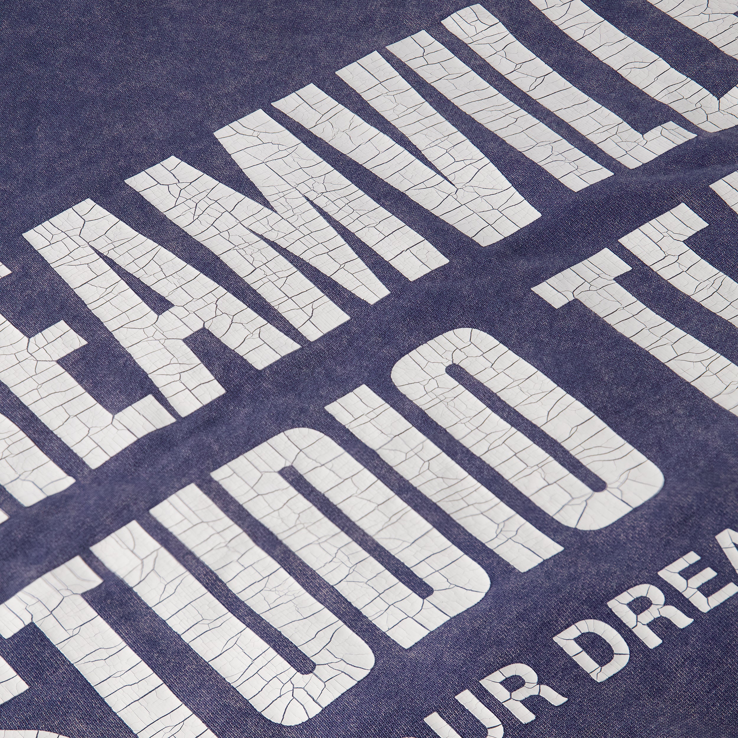 STUDIO TEAM ZIP UP HOODIE WASHED BLUE – Dreamville Official Store